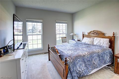 314 Garfield Dr, Lagrange, OH 44050 photo 18