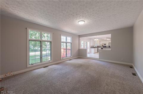 7225 Longview Dr, Solon, OH 44139 photo 8