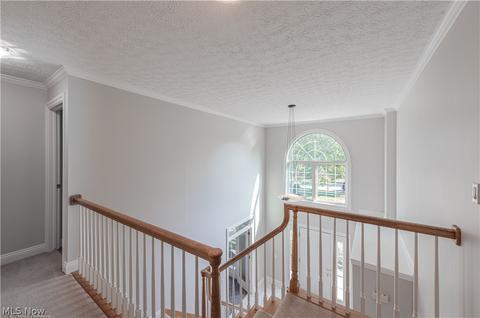 7225 Longview Dr, Solon, OH 44139 photo 13