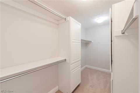 7225 Longview Dr, Solon, OH 44139 photo 18