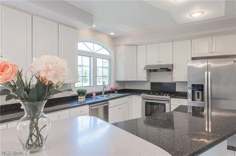 7225 Longview Dr, Solon, OH 44139 photo 6
