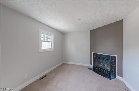 7225 Longview Dr, Solon, OH 44139 photo 17