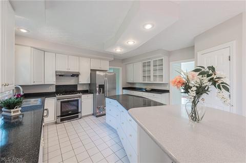 7225 Longview Dr, Solon, OH 44139 photo 4