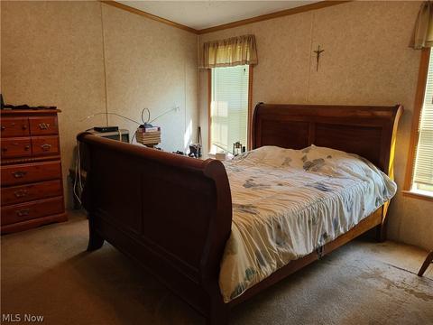 6709 Root Rd, Conneaut, OH 44030 photo 12