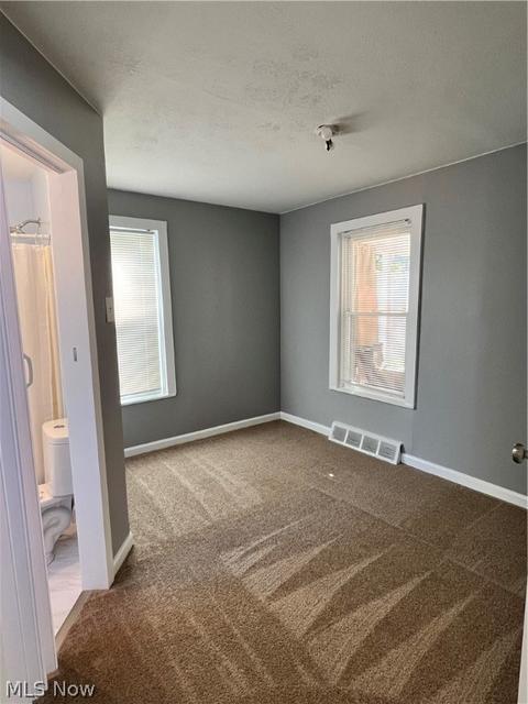 1295 Big Falls Ave, Akron, OH 44310 photo 7