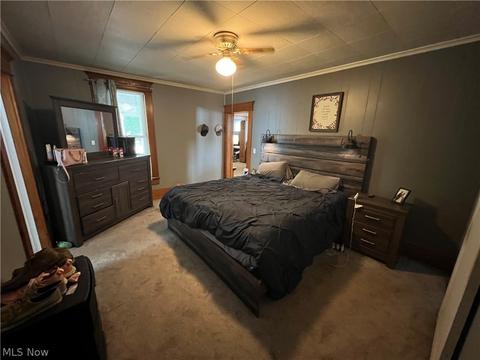 708 Chestnut St, Dresden, OH 43821 photo 24