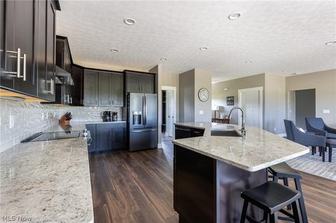 42078 Biggs Rd, Lagrange, OH 44050 photo 10