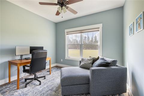 42078 Biggs Rd, Lagrange, OH 44050 photo 20