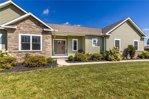 42078 Biggs Rd, Lagrange, OH 44050 photo 2