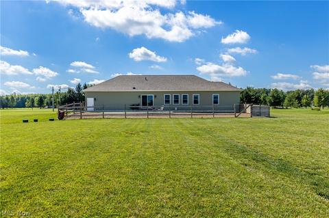 42078 Biggs Rd, Lagrange, OH 44050 photo 28