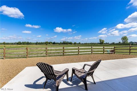 42078 Biggs Rd, Lagrange, OH 44050 photo 25