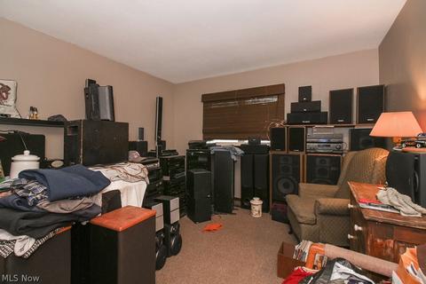 4302 Jaeger Rd, Lorain, OH 44053 photo 26