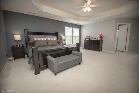 183 Millstream Ct, Copley, OH 44321 photo 22