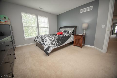 183 Millstream Ct, Copley, OH 44321 photo 27