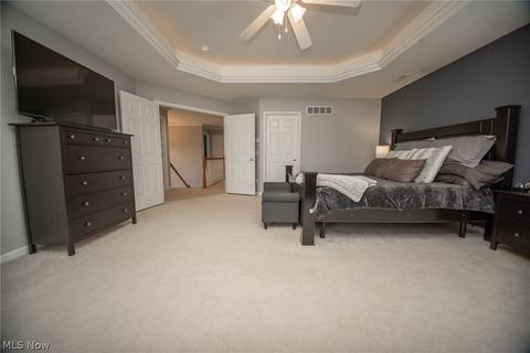 183 Millstream Ct, Copley, OH 44321 photo 23