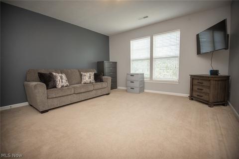 183 Millstream Ct, Copley, OH 44321 photo 31