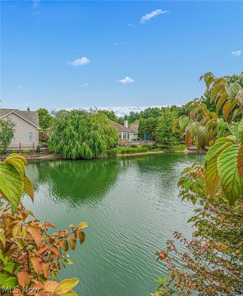 259 Lake Pointe Dr, Akron, OH 44333 photo 30