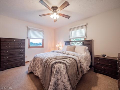 8949 Kane Rd, Wadsworth, OH 44281 photo 10