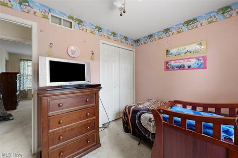 143 Brace Ave, Elyria, OH 44035 photo 21