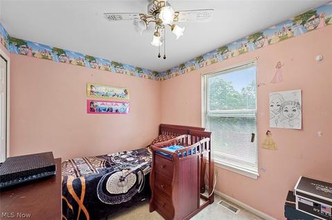 143 Brace Ave, Elyria, OH 44035 photo 20
