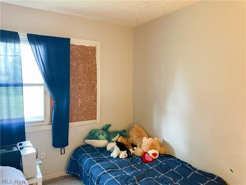 606 Bell Ave, Elyria, OH 44035 photo 11