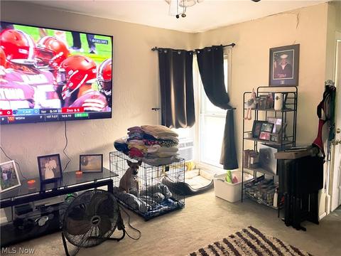 606 Bell Ave, Elyria, OH 44035 photo 6