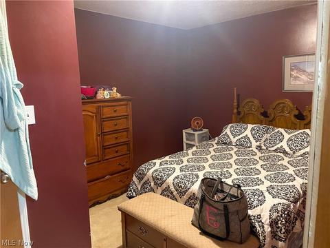606 Bell Ave, Elyria, OH 44035 photo 9