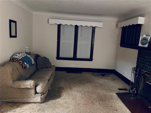 6603 Conley Rd, Ashtabula, OH 44004 photo 14