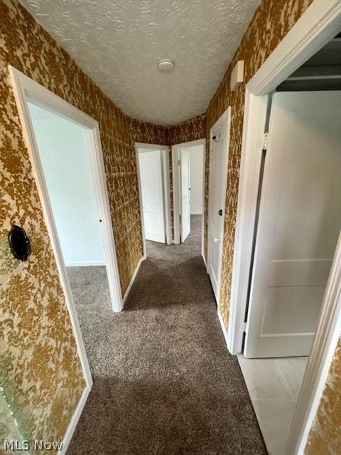 496 Devitt Ave, Campbell, OH 44405 photo 12