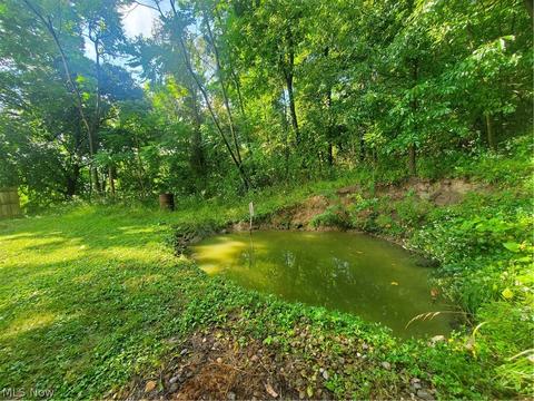 210 Downs Ave, Newcomerstown, OH 43832 photo 16