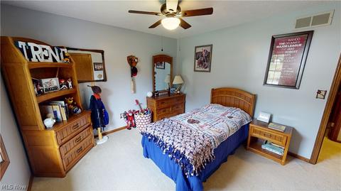 457 Herbert Rd, Akron, OH 44312 photo 18