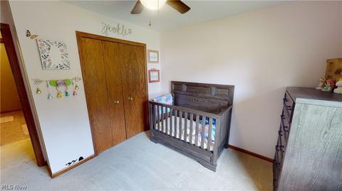 457 Herbert Rd, Akron, OH 44312 photo 17