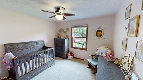 457 Herbert Rd, Akron, OH 44312 photo 16
