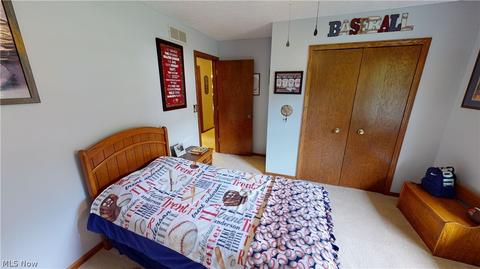 457 Herbert Rd, Akron, OH 44312 photo 19
