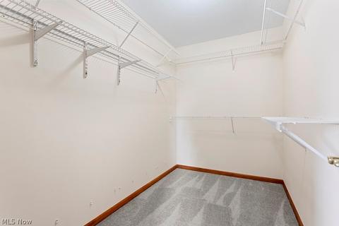 536 Appomattox Ct, Lagrange, OH 44050 photo 25