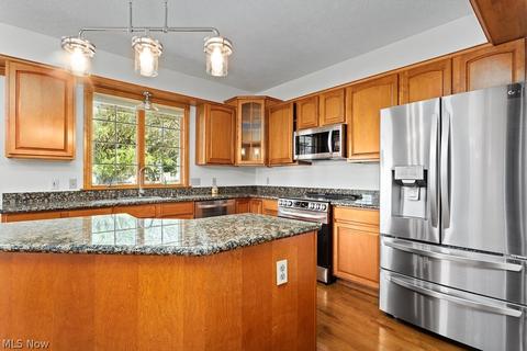 536 Appomattox Ct, Lagrange, OH 44050 photo 10