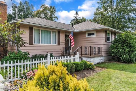 43151 Dellefield Rd, Elyria, OH 44035 photo 4