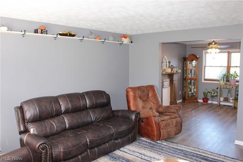5166 Ferry Rd, Wakeman, OH 44889 photo 5
