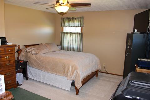 5166 Ferry Rd, Wakeman, OH 44889 photo 13