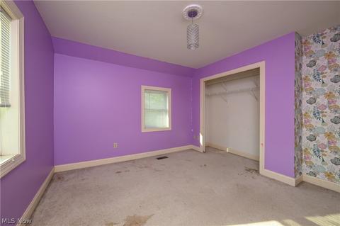 8841 Yoder Rd, Wadsworth, OH 44281 photo 20