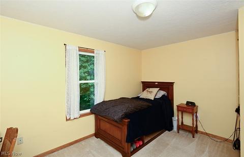 2578 Wright Rd, Akron, OH 44320 photo 20