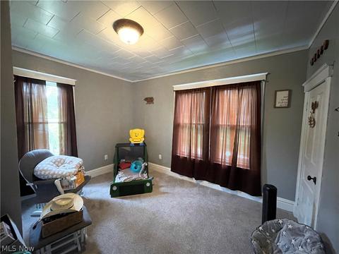 113 Markatan Ave, Flushing, OH 43977 photo 12