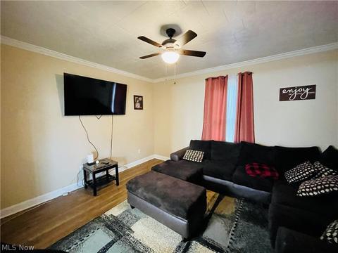 113 Markatan Ave, Flushing, OH 43977 photo 5