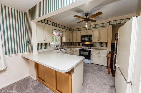 7249 Murray Ridge Rd, Elyria, OH 44035 photo 9