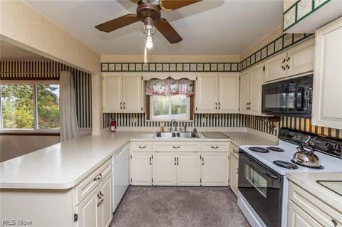 7249 Murray Ridge Rd, Elyria, OH 44035 photo 14