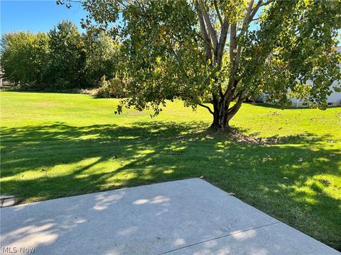 150 Stonehedge Dr, Elyria, OH 44035 photo 19