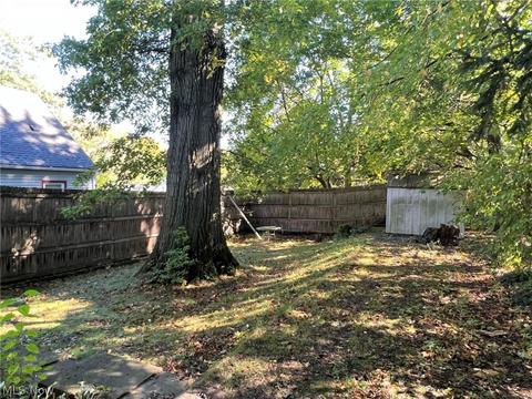 1305 Big Falls Ave, Akron, OH 44310 photo 20
