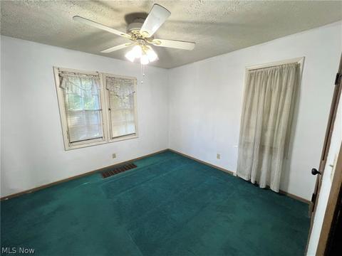 1305 Big Falls Ave, Akron, OH 44310 photo 13