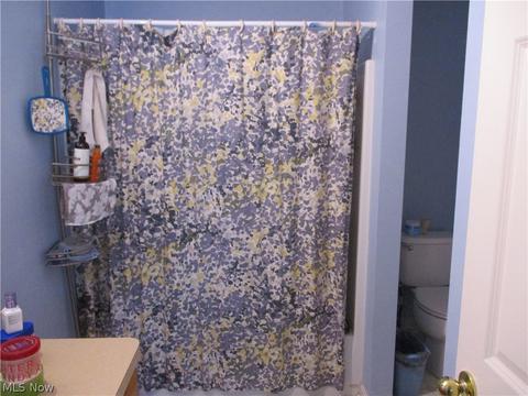 181 Meander Ln, Elyria, OH 44035 photo 8
