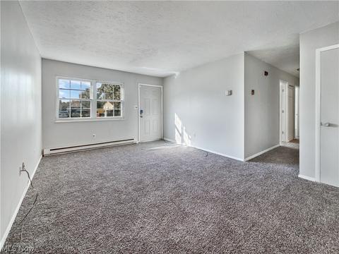 9875 Bright Dr, Windham, OH 44288 photo 18